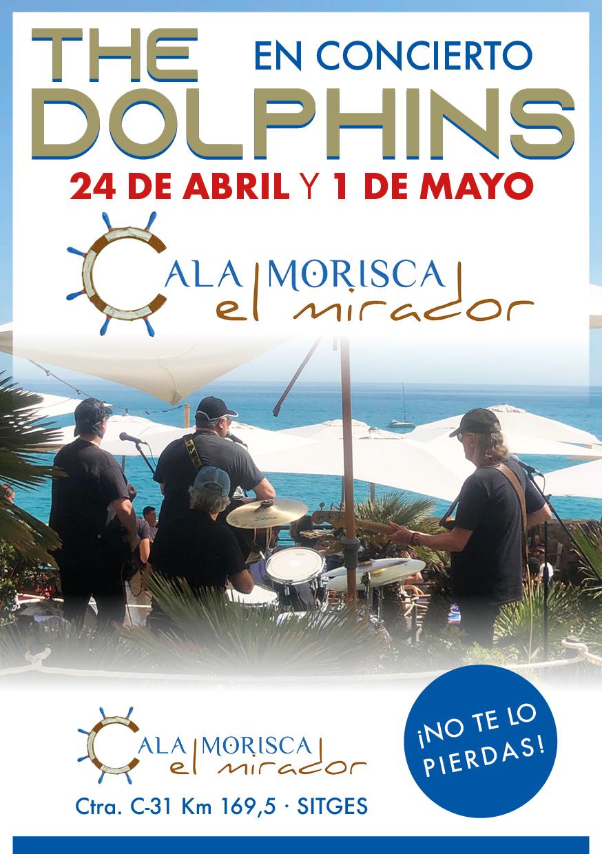 IMG-20220419-WA0003